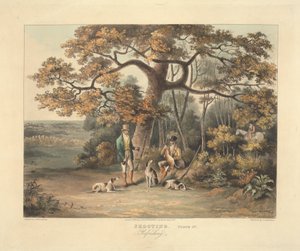 द्वारा थॉमस सदरलैंड