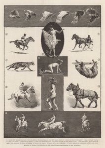 श्री मुयब्रिज की तात्कालिक तस्वीरों द्वारा चित्रित जानवरों के आशय द्वारा थॉमस वाल्टर विल्सन