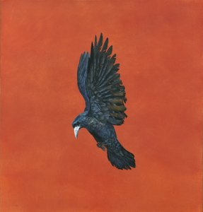शाइन-रेड, (आर्किंस 640gsm पेपर पर वॉटरकलर और ग्यूश), 101.6 x 91.4cm