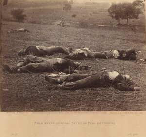 फ़ील्ड जहां जनरल रेनॉल्ड्स फेल हुए, गेटीसबर्ग, 5 जुलाई, 1863
