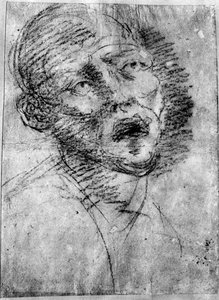 Moor के प्रमुख, c1525, 1937 द्वारा टिज़ियानो वेकेली