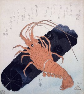 चारकोल के एक ब्लॉक के साथ Langoustine, c.1830 (कलर वुडब्लॉक प्रिंट) द्वारा टोयोटा होकेई