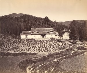 पेलिंग में टीफील्ड और जोसहाउस, सीए। 1869. द्वारा तुंग हिंग।