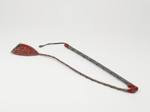 राइडिंग व्हिप द्वारा तुर्की स्कूल