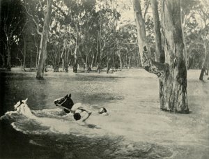 ए बैंकर, 1901। द्वारा अज्ञात
