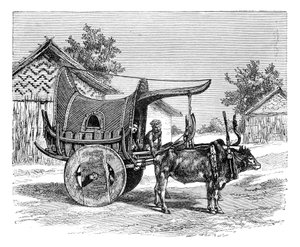 एक बर्मी वैगन, बर्मा म्यांमार, 1895 द्वारा अज्ञात