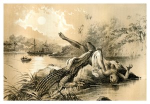 एक आनंदमय घटना, 1883 द्वारा अज्ञात