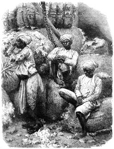 19 वीं शताब्दी में बॉम्बे, भारत में एक कपास बाजार द्वारा अज्ञात