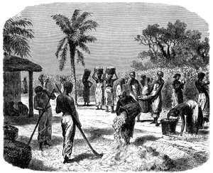 एक कपास रोपण, c1880 द्वारा अज्ञात