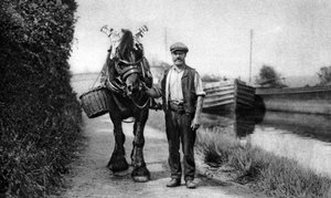1926-1927, नहर के बजरा को खींचता हुआ एक घोड़ा द्वारा अज्ञात