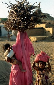 राजस्थान के एक गाँव का एक स्थानीय लकड़हारा परिवार। राजस्थान, भारत। 25 फरवरी, 2005। (फोटो) द्वारा अज्ञात