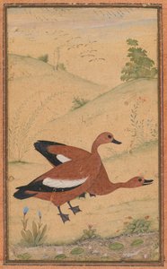 ब्राह्मणी बतख की एक जोड़ी, सी। 1595, सीमाओं ने शायद 1800s जोड़ा। द्वारा अज्ञात
