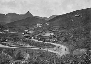 एडम्सपिक और ब्राउनलो चाय बागान, 1926 द्वारा अज्ञात