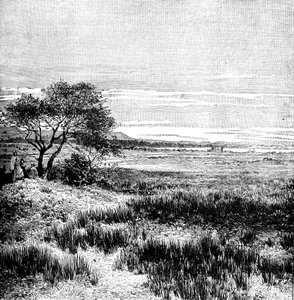 आगा घाटी, सेंट्रल पम्पा, अर्जेंटीना, 1895 द्वारा अज्ञात