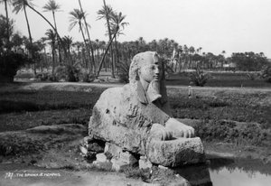 मेम्फिस, मिस्र में अलबास्टर स्फिंक्स, c1920s-c1930s द्वारा अज्ञात