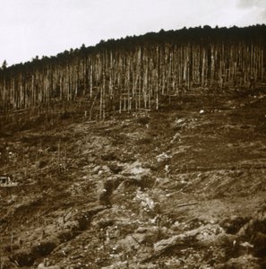 एलेस, c1914-c1918 द्वारा अज्ञात