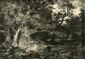 एक पुराना जर्मन वन, 1890। द्वारा अज्ञात