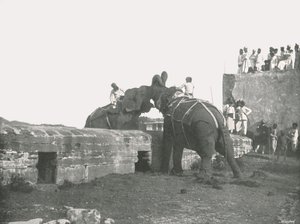 एक हाथी लड़ाई, हैदराबाद, भारत, 1895। द्वारा अज्ञात