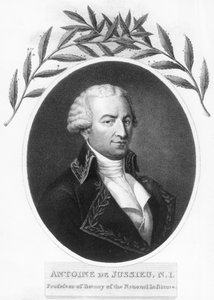 एंटोनी डी जुसिएओ, 18 वीं शताब्दी के फ्रांसीसी वनस्पतिशास्त्री, 1807 द्वारा अज्ञात