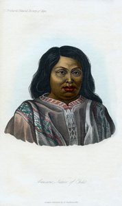 अरूसीनो, चिली का मूल निवासी, 1848 द्वारा अज्ञात