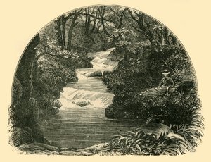 बागवर्थी वाटरस्लाइड, 1898। द्वारा अज्ञात