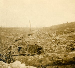 बैटलफील्ड, बेजोनॉक्स, वर्दुन, उत्तरी फ्रांस, c1914-c1918 द्वारा अज्ञात