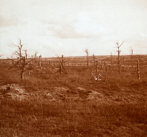 बैटलफील्ड, ताहुर, उत्तरी फ्रांस, c1914-c1918 द्वारा अज्ञात