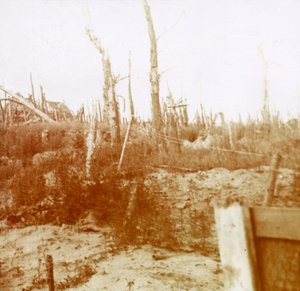 ब्लास्ट की गई लकड़ी, नीवोपोर्ट, फ्लैंडर्स, बेल्जियम, c1914-c1918 द्वारा अज्ञात