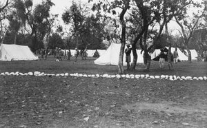 यमुना नदी, 1917, भारत द्वारा ब्रिटिश सेना का अतिक्रमण द्वारा अज्ञात