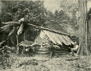बुश हट, डैंडेनॉन्ग रेंज, विक्टोरिया, 1901। द्वारा अज्ञात