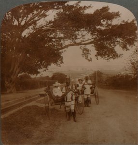 निवास स्थान रोड, नैर्बन, एस। अफ्रीका पर मूल निवासियों द्वारा खींची गई टैक्सी, c1900 द्वारा अज्ञात