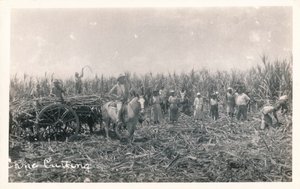 केन कटिंग, c1930 द्वारा अज्ञात