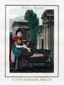 बिल्ली और कुत्ते का मांस !, बेथलेम अस्पताल, लंदन, 1805 द्वारा अज्ञात