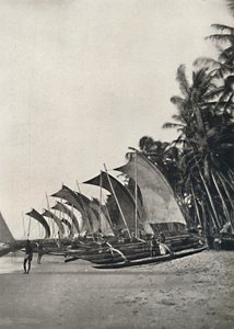 1926 में समुद्र के किनारे सीलोनियन समुद्री मछली पकड़ने की नावें द्वारा अज्ञात