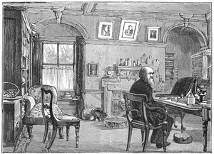 चार्ल्स डार्विन, अंग्रेजी प्रकृतिवादी, अपने अध्ययन में, c1870 1887 द्वारा अज्ञात