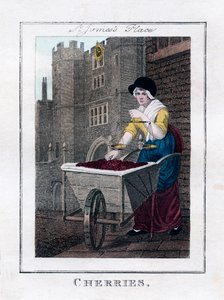 चेरी, सेंट जेम्‍स पैलेस, लंदन, 1805 द्वारा अज्ञात