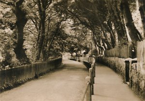 चाइना एवेन्यू, शंकलिन, IW, c1920। द्वारा अज्ञात