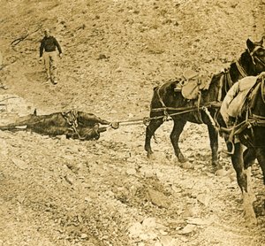 युद्ध के मैदान को साफ़ करना, c1914-c1918 द्वारा अज्ञात