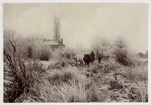 "एक ठंढे क्षेत्र में गाय", वर्स 1890 द्वारा अज्ञात