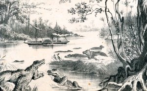 डेविड लिविंगस्टोन ने ज़ाम्बज़ी, अफ्रीका, 1852-1864 c1878 को नेविगेट किया द्वारा अज्ञात