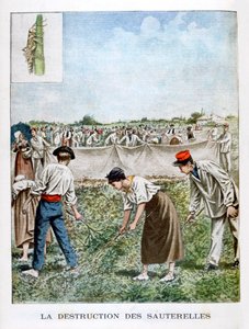 घास-फूस को नष्ट करना, 1901 द्वारा अज्ञात