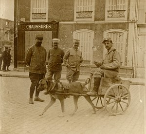 डॉग-कार्ट, फ्रांस, c1914-c1918 द्वारा अज्ञात