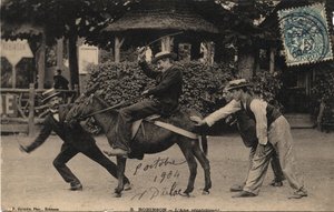 गधा टेटू और अड़ियल - पोस्टकार्ड दिनांक 1904 द्वारा अज्ञात