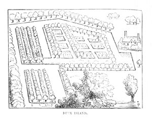 बतख द्वीप, c1870 द्वारा अज्ञात