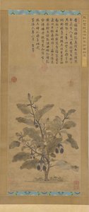 बैंगन, मिंग राजवंश, 1368-1644। द्वारा अज्ञात