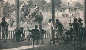 1896 में बड़ौदा में हाथी की लड़ाई द्वारा अज्ञात