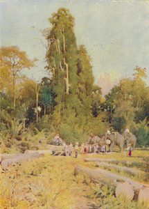 हाथी पिलिंग टीक, 1924 द्वारा अज्ञात