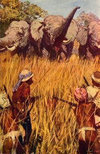चेस में हाथी, c1850 c1912 द्वारा अज्ञात