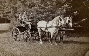 सम्राट अलेक्जेंडर III 1845-1894 और महारानी मारिया फेडोरोवना 1847-1928 एक घोड़ा गाड़ी पर। द्वारा अज्ञात