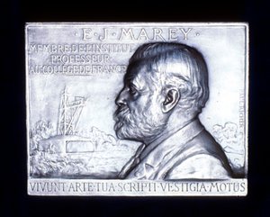 एटिने जूल्स मारे 1830-1903, फ्रेंच फिजियोलॉजिस्ट, 19 वीं शताब्दी द्वारा अज्ञात